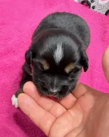 processed/f6f9272f-16e0-4a2d-95c2-b1ba199e966b/listing/3e509f4e-95de-4af9-b6c9-ecc19a839403/3898acc1-a041-41e0-a226-fc1120b8a485