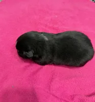 processed/f6f9272f-16e0-4a2d-95c2-b1ba199e966b/listing/3e509f4e-95de-4af9-b6c9-ecc19a839403/bedc6bb0-9db6-4b2f-a084-22265aa24a44