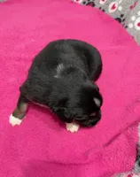 processed/f6f9272f-16e0-4a2d-95c2-b1ba199e966b/listing/3e509f4e-95de-4af9-b6c9-ecc19a839403/d137cd93-b4c5-4529-b5fe-aa4321a1bec3