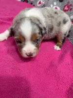 processed/f6f9272f-16e0-4a2d-95c2-b1ba199e966b/listing/3f0fb30d-7e7f-4b7c-aa75-c8167fb1c5ef/44de4268-15db-4a14-8b3e-82b2bf306855