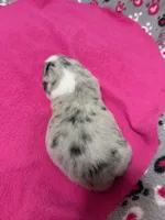 processed/f6f9272f-16e0-4a2d-95c2-b1ba199e966b/listing/3f0fb30d-7e7f-4b7c-aa75-c8167fb1c5ef/75462e22-72fc-4e98-963f-fde25aebdc51