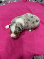 processed/f6f9272f-16e0-4a2d-95c2-b1ba199e966b/listing/3f0fb30d-7e7f-4b7c-aa75-c8167fb1c5ef/92166458-5d79-469b-9c8e-8c76a6e17f65