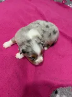 processed/f6f9272f-16e0-4a2d-95c2-b1ba199e966b/listing/3f0fb30d-7e7f-4b7c-aa75-c8167fb1c5ef/f7d75858-80b6-4e01-bad7-a13c0d31d901