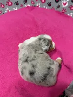 processed/f6f9272f-16e0-4a2d-95c2-b1ba199e966b/listing/3f0fb30d-7e7f-4b7c-aa75-c8167fb1c5ef/f91941da-a7fa-4f5a-8ebc-07358672793c