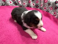 processed/f6f9272f-16e0-4a2d-95c2-b1ba199e966b/listing/42801eb1-1f34-4348-aeba-accf350e9c96/368522df-58da-42a5-a84a-20ccd0532e92