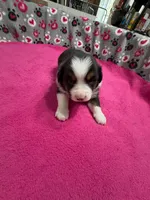 processed/f6f9272f-16e0-4a2d-95c2-b1ba199e966b/listing/42801eb1-1f34-4348-aeba-accf350e9c96/5ae9e276-52cc-4e10-96ba-3dcc61fdd434