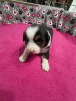 processed/f6f9272f-16e0-4a2d-95c2-b1ba199e966b/listing/42801eb1-1f34-4348-aeba-accf350e9c96/9671cb63-7f98-4603-b1e8-dda3e316c6ca