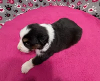 processed/f6f9272f-16e0-4a2d-95c2-b1ba199e966b/listing/42801eb1-1f34-4348-aeba-accf350e9c96/c82cec31-0434-4a60-90cf-eb9b37060ae0