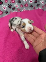 processed/f6f9272f-16e0-4a2d-95c2-b1ba199e966b/listing/45236461-b29f-4ecf-80bd-778d89f5458e/572b5f08-7c66-4ff5-872f-905bc9497fce