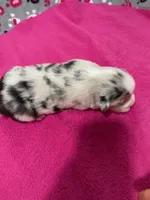 processed/f6f9272f-16e0-4a2d-95c2-b1ba199e966b/listing/45236461-b29f-4ecf-80bd-778d89f5458e/822c1e66-b78a-472d-bc14-bb1fff6ae0d7