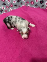 processed/f6f9272f-16e0-4a2d-95c2-b1ba199e966b/listing/45236461-b29f-4ecf-80bd-778d89f5458e/ad0afdc6-6de8-4d3b-a449-0a14c25220d1