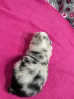 processed/f6f9272f-16e0-4a2d-95c2-b1ba199e966b/listing/45236461-b29f-4ecf-80bd-778d89f5458e/ccde422c-c349-42ad-8f4a-520af52769b5