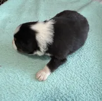 processed/f6f9272f-16e0-4a2d-95c2-b1ba199e966b/listing/4b86e06d-ed02-46cb-8c81-869543e4c6bf/0e6124c4-07d0-4660-9231-efe6e5f8128f