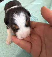 processed/f6f9272f-16e0-4a2d-95c2-b1ba199e966b/listing/4b86e06d-ed02-46cb-8c81-869543e4c6bf/411d9814-71b2-4472-85c1-5714d82031de