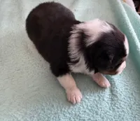 processed/f6f9272f-16e0-4a2d-95c2-b1ba199e966b/listing/4b86e06d-ed02-46cb-8c81-869543e4c6bf/66eda438-0b54-488b-a08d-e309250662fa