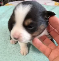 processed/f6f9272f-16e0-4a2d-95c2-b1ba199e966b/listing/4b86e06d-ed02-46cb-8c81-869543e4c6bf/67a3ab56-f5fb-41c9-a758-d5b966dae4ff