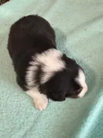 processed/f6f9272f-16e0-4a2d-95c2-b1ba199e966b/listing/4b86e06d-ed02-46cb-8c81-869543e4c6bf/9b29c062-78c5-436d-9956-99c4a66ca85d