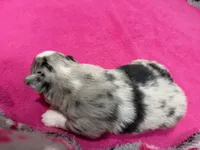 processed/f6f9272f-16e0-4a2d-95c2-b1ba199e966b/listing/8658f245-11d1-426d-b639-02d50aead354/54bb258a-3061-4f2a-8717-79ad094c0c01