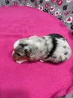 processed/f6f9272f-16e0-4a2d-95c2-b1ba199e966b/listing/8658f245-11d1-426d-b639-02d50aead354/65693a58-a5be-45e2-bec2-8ba5428fced8