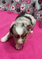 processed/f6f9272f-16e0-4a2d-95c2-b1ba199e966b/listing/8658f245-11d1-426d-b639-02d50aead354/aea85008-5f4b-45cf-8c3c-9f530b69b1ce