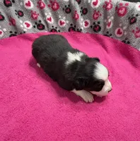 processed/f6f9272f-16e0-4a2d-95c2-b1ba199e966b/listing/956329c7-e2a9-4e2d-89e2-83ac9569d09c/7ca9809e-4cc6-43ab-8f9f-b019722d8289