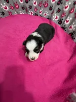 processed/f6f9272f-16e0-4a2d-95c2-b1ba199e966b/listing/956329c7-e2a9-4e2d-89e2-83ac9569d09c/cd2961c5-fe65-4753-9aae-77f44342229c