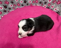 processed/f6f9272f-16e0-4a2d-95c2-b1ba199e966b/listing/956329c7-e2a9-4e2d-89e2-83ac9569d09c/ea231059-e8c5-4ece-a985-44023d38b36a