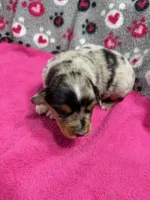 processed/f6f9272f-16e0-4a2d-95c2-b1ba199e966b/listing/d5a69686-0596-4c4e-827f-24edbacc7b2e/03e1cdf1-7a86-4738-b37c-424587cde3ed