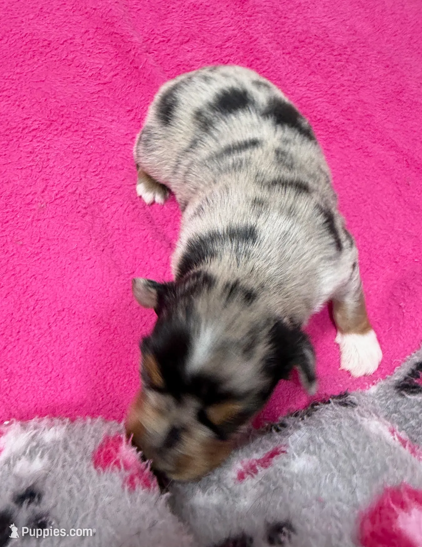 processed/f6f9272f-16e0-4a2d-95c2-b1ba199e966b/listing/d5a69686-0596-4c4e-827f-24edbacc7b2e/5318c461-8785-4008-bedd-c75d43c4648e