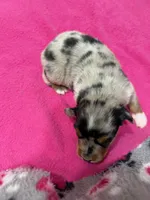 processed/f6f9272f-16e0-4a2d-95c2-b1ba199e966b/listing/d5a69686-0596-4c4e-827f-24edbacc7b2e/9cb3ff1f-044d-4738-968f-aaafc0c5f530