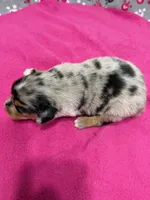 processed/f6f9272f-16e0-4a2d-95c2-b1ba199e966b/listing/d5a69686-0596-4c4e-827f-24edbacc7b2e/c6c3ae51-30f6-48d2-b298-9a4b2ca8de02