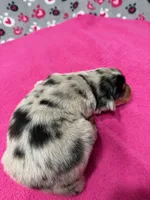 processed/f6f9272f-16e0-4a2d-95c2-b1ba199e966b/listing/d5a69686-0596-4c4e-827f-24edbacc7b2e/ff7dc1b2-07d8-4498-b330-bd74086a6fb9