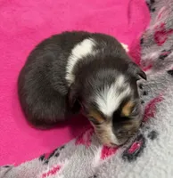 processed/f6f9272f-16e0-4a2d-95c2-b1ba199e966b/listing/d5e0c715-e2b0-4292-975b-1ad628ccc5bd/4e35facd-7f31-4867-9505-29bbf7af47c1