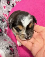 processed/f6f9272f-16e0-4a2d-95c2-b1ba199e966b/listing/d5e0c715-e2b0-4292-975b-1ad628ccc5bd/51db656f-4ffe-4bd4-9c97-25e987bb3485