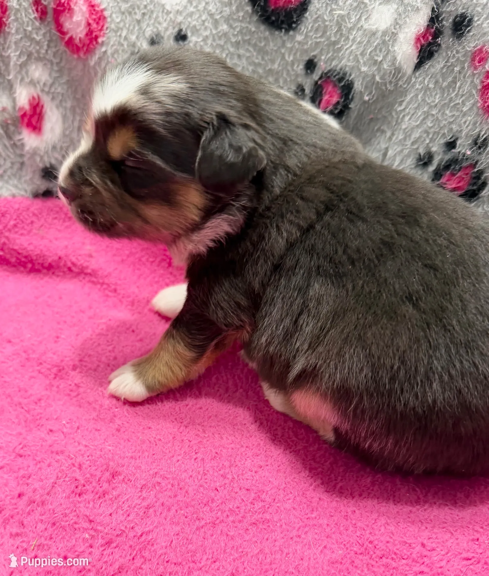 processed/f6f9272f-16e0-4a2d-95c2-b1ba199e966b/listing/d5e0c715-e2b0-4292-975b-1ad628ccc5bd/af5a9443-3546-41d0-bb13-d4115e60d3f0