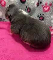 processed/f6f9272f-16e0-4a2d-95c2-b1ba199e966b/listing/d5e0c715-e2b0-4292-975b-1ad628ccc5bd/f5642c3f-b794-475d-81ef-6868213e7b61