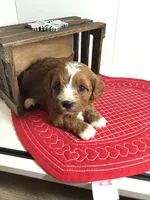 processed/f6f96d6b-ada9-41fa-93a1-42312692848e/listing/333612f5-d21c-401e-bf2b-fd7cb32361e7/6e3a3a44-2c5e-4441-8ec5-f81492c18747