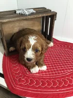 processed/f6f96d6b-ada9-41fa-93a1-42312692848e/listing/333612f5-d21c-401e-bf2b-fd7cb32361e7/9b1d0220-02ba-4117-84a6-658daeb09de6