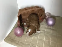 processed/f6f96d6b-ada9-41fa-93a1-42312692848e/listing/333612f5-d21c-401e-bf2b-fd7cb32361e7/a242e7da-c824-4834-8769-01ae80f58973