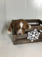 processed/f6f96d6b-ada9-41fa-93a1-42312692848e/listing/333612f5-d21c-401e-bf2b-fd7cb32361e7/c7f51290-f72e-43ed-9642-bbef5c5f8029