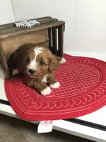 processed/f6f96d6b-ada9-41fa-93a1-42312692848e/listing/333612f5-d21c-401e-bf2b-fd7cb32361e7/cfa5b04c-1c66-4531-8e5a-963c384890ca