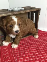 processed/f6f96d6b-ada9-41fa-93a1-42312692848e/listing/333612f5-d21c-401e-bf2b-fd7cb32361e7/e40ac67b-2ef8-481b-ba0f-dfe722ec6e3b