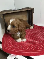 processed/f6f96d6b-ada9-41fa-93a1-42312692848e/listing/333612f5-d21c-401e-bf2b-fd7cb32361e7/f266ba17-e285-496b-a417-18538de39003