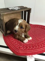 processed/f6f96d6b-ada9-41fa-93a1-42312692848e/listing/333612f5-d21c-401e-bf2b-fd7cb32361e7/fe728128-1247-4fa3-885e-a646d42991d2