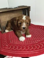 processed/f6f96d6b-ada9-41fa-93a1-42312692848e/listing/ca0dd0e0-b8ce-4117-bd8b-c0167880fcff/3427cb1b-f240-4e26-8c88-fb98f72b8d20