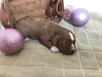 processed/f6f96d6b-ada9-41fa-93a1-42312692848e/listing/ca0dd0e0-b8ce-4117-bd8b-c0167880fcff/39ece6e0-8a5e-474b-807f-ecba8364d24e