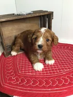 processed/f6f96d6b-ada9-41fa-93a1-42312692848e/listing/ca0dd0e0-b8ce-4117-bd8b-c0167880fcff/46c90049-6a7e-41a3-b922-6ff8878997e1