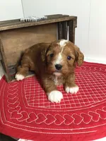 processed/f6f96d6b-ada9-41fa-93a1-42312692848e/listing/ca0dd0e0-b8ce-4117-bd8b-c0167880fcff/76bc9d85-0ece-4178-94e4-66d21e885ecc