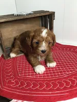 processed/f6f96d6b-ada9-41fa-93a1-42312692848e/listing/ca0dd0e0-b8ce-4117-bd8b-c0167880fcff/c5bbe9a4-c636-4831-aab7-a4217ac9f8df