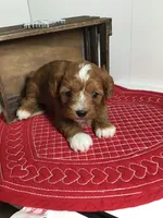 processed/f6f96d6b-ada9-41fa-93a1-42312692848e/listing/ca0dd0e0-b8ce-4117-bd8b-c0167880fcff/d82cd561-4a50-437f-b5ef-085ffb508990